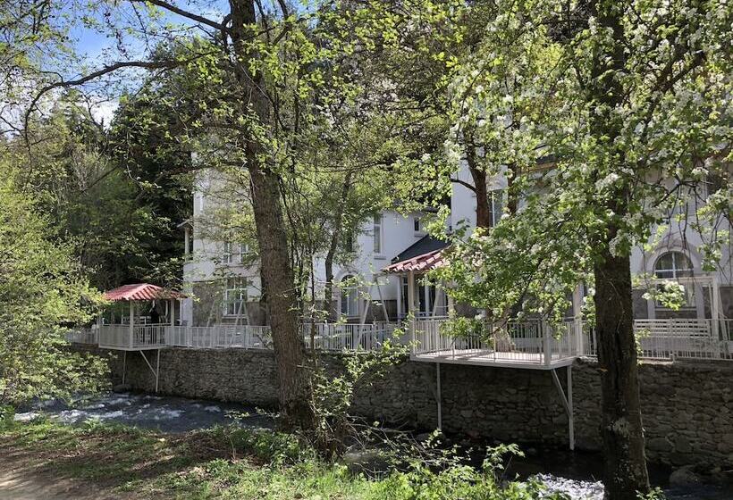 هتل Abastumani Residence