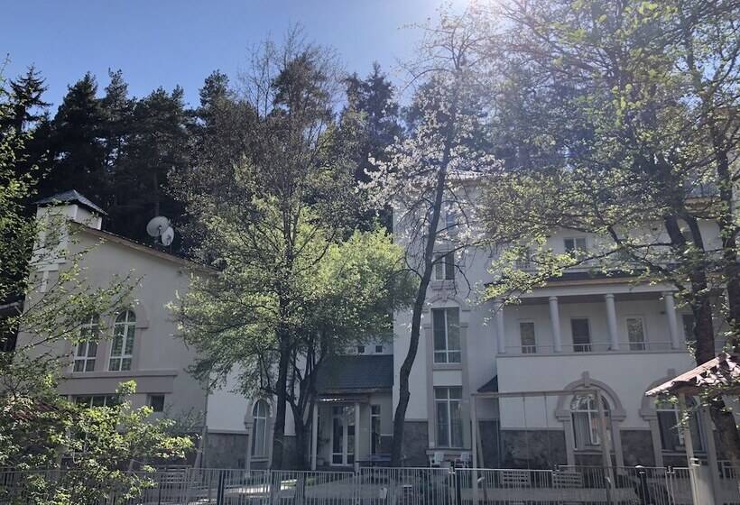 هتل Abastumani Residence