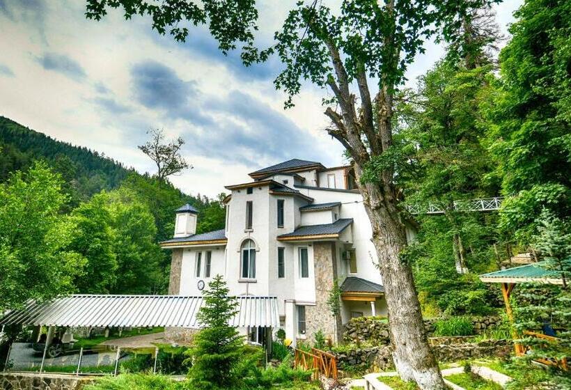 هتل Abastumani Residence