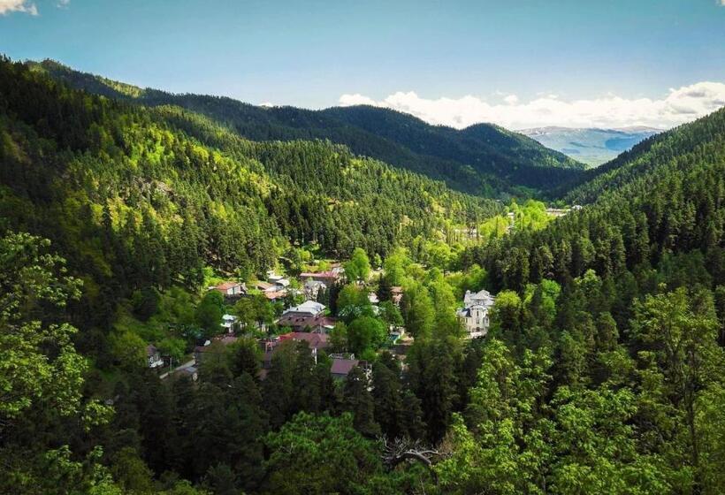 هتل Abastumani Residence