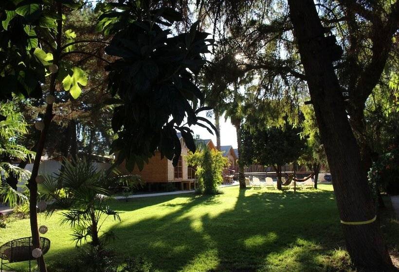 בית מלון כפרי Barros Wellness & Spa