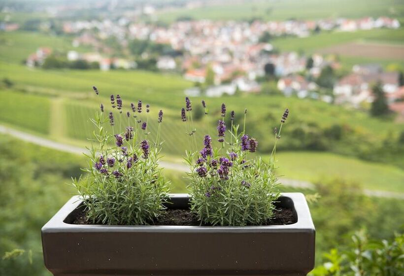 ホテル Burggarten Appartements Neuleiningen