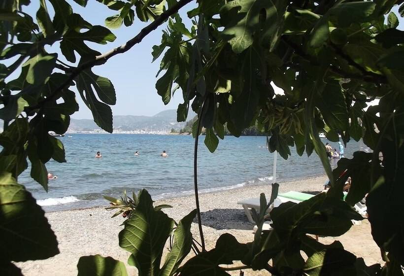 בית מלון כפרי Carikci