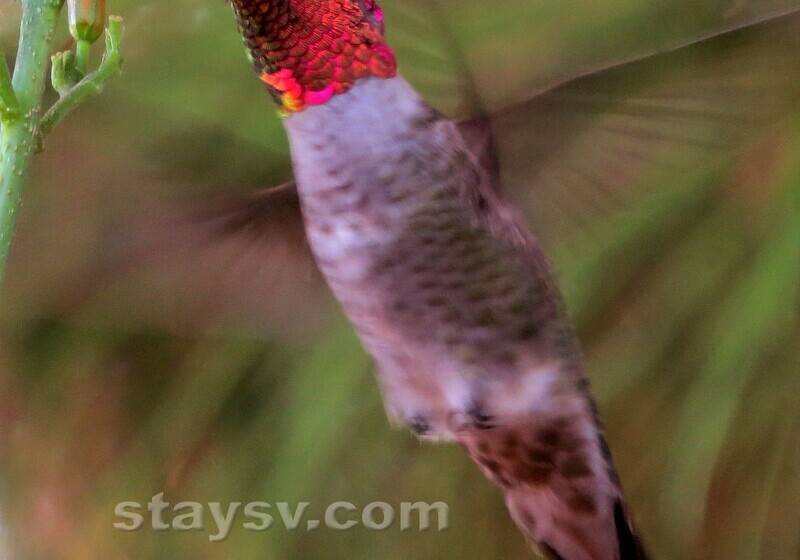 בית מלון כפרי Casa Antigua Condos   Sierra Vistas Finest