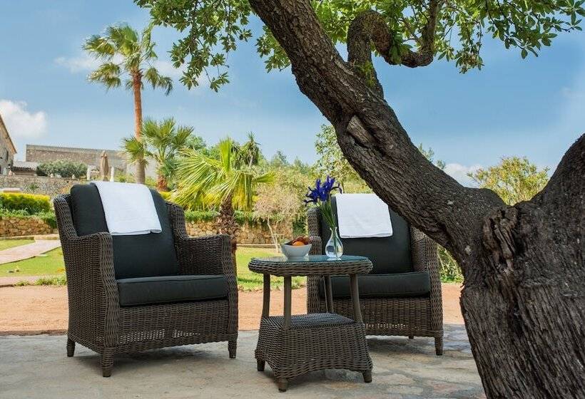 Отель Casa Font I Roig