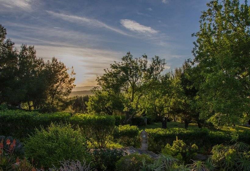 Отель Casa Font I Roig