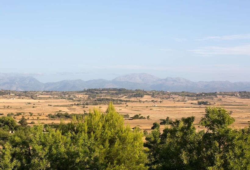 Отель Casa Font I Roig