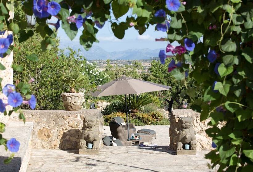 Отель Casa Font I Roig