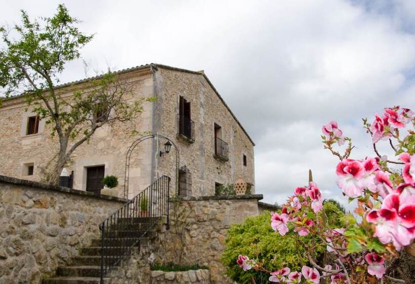 Отель Casa Font I Roig