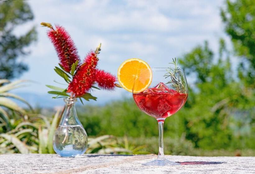 Отель Casa Font I Roig