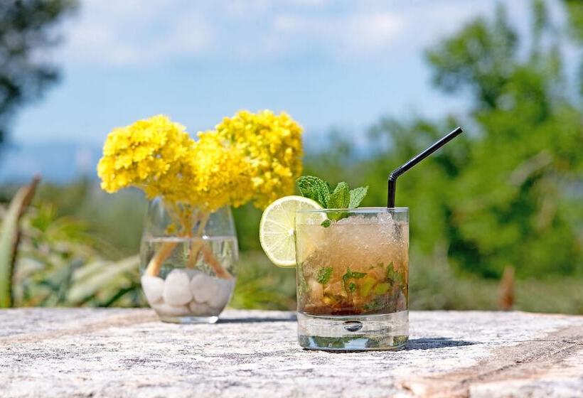 Отель Casa Font I Roig