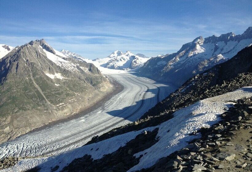 בית מלון כפרי Castle