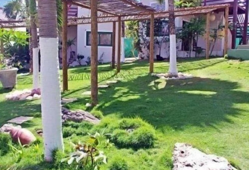 هتل Chales Bouganville