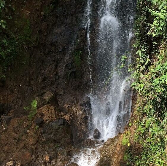 호텔 Charco Corazón