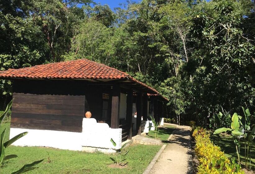 Отель Ecolodge Las Nubes Chiapas