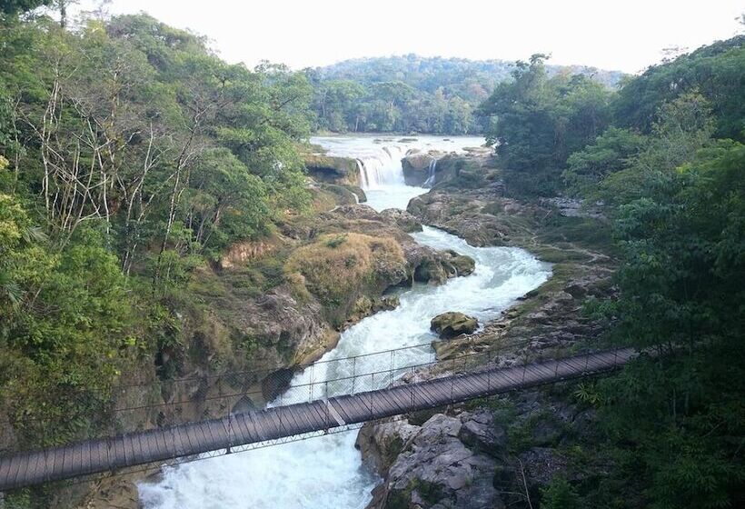 Отель Ecolodge Las Nubes Chiapas