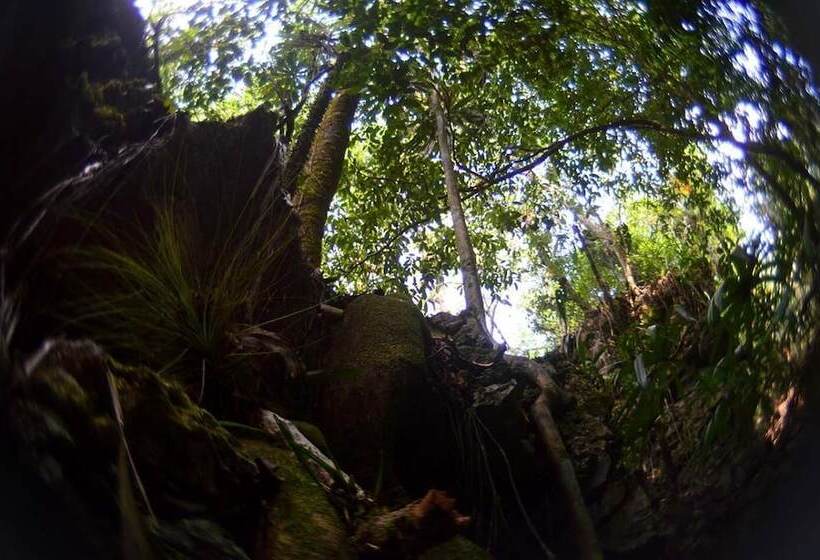 Отель Ecolodge Las Nubes Chiapas