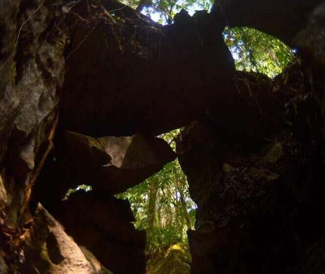 Отель Ecolodge Las Nubes Chiapas