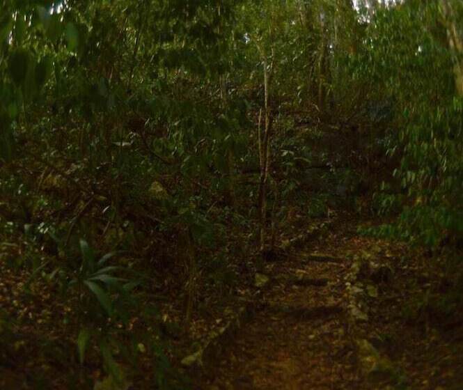 Отель Ecolodge Las Nubes Chiapas