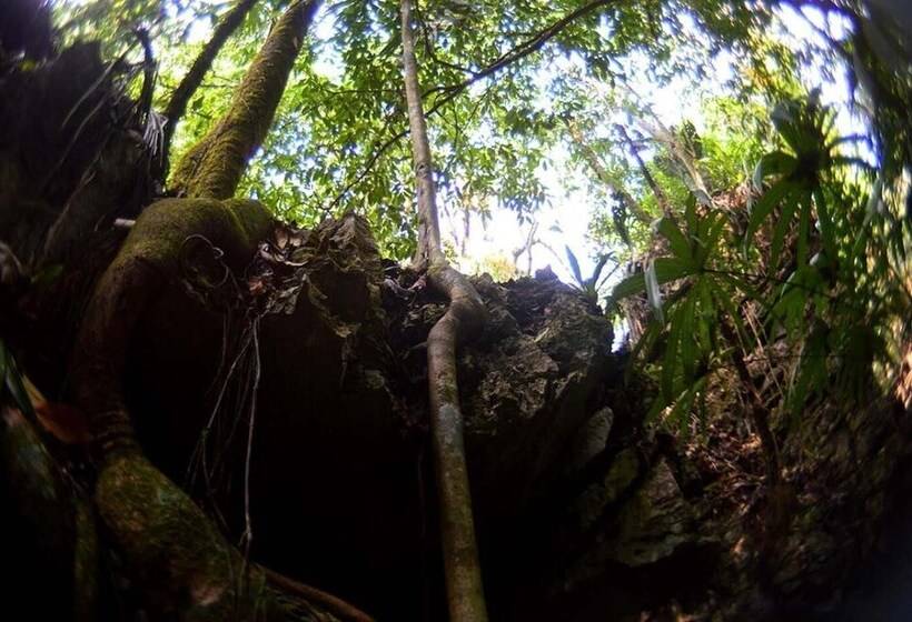 Отель Ecolodge Las Nubes Chiapas