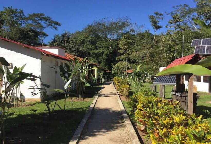 Отель Ecolodge Las Nubes Chiapas