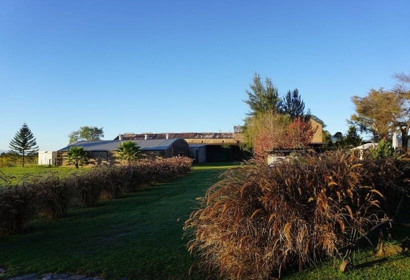 בית מלון כפרי Finca Las Margaritas