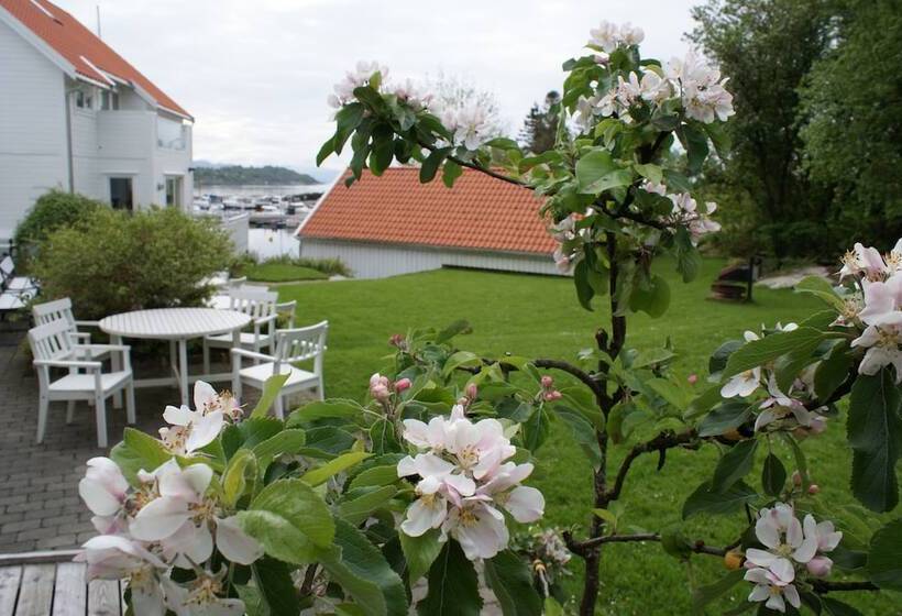 בית מלון כפרי Fjordbris