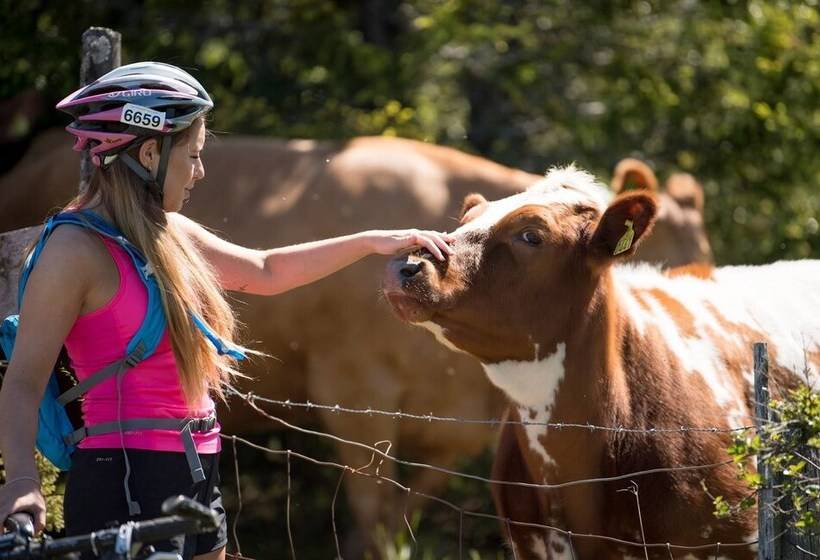 בית מלון כפרי Gomobu Fjellstue
