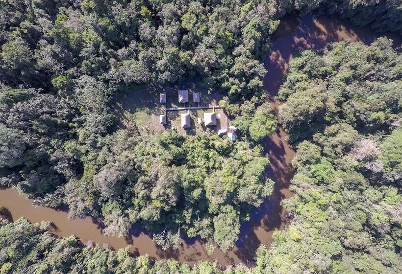 هتل Green Forest Ecolodge