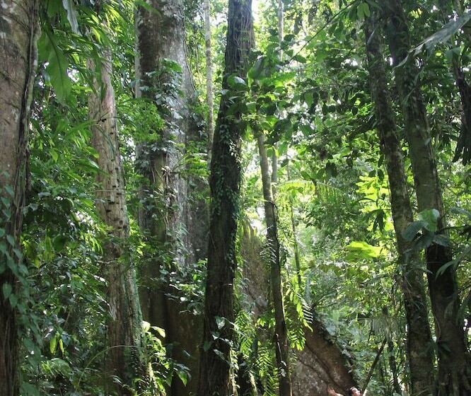 هتل Green Forest Ecolodge