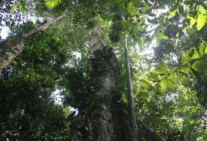 هتل Green Forest Ecolodge