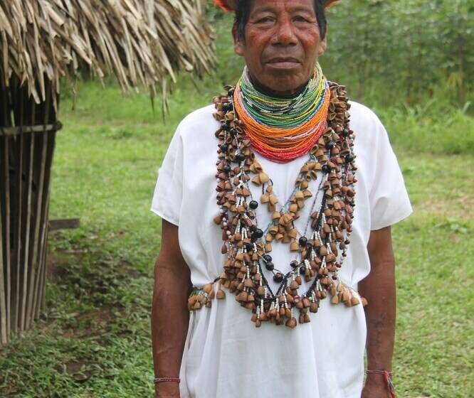 هتل Green Forest Ecolodge