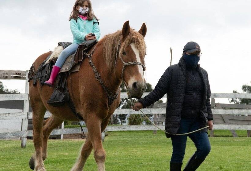 Hotel Hacienda El Rejo