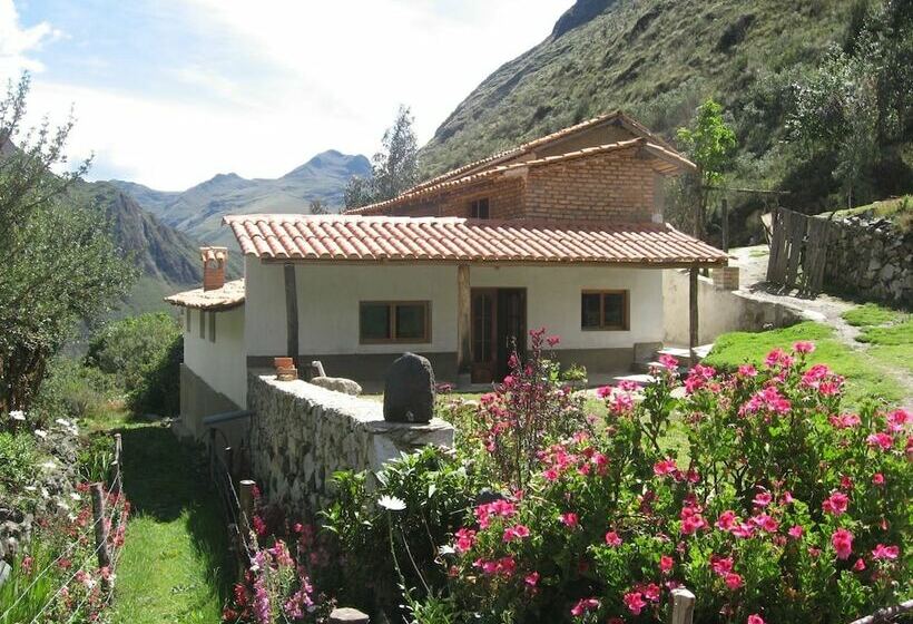 هتل Hospedaje Illariy