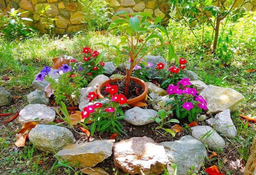 Отель Kapougiati Studios