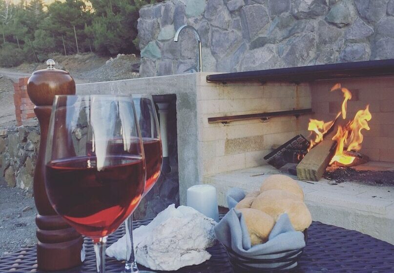 Отель Lodge El Morado