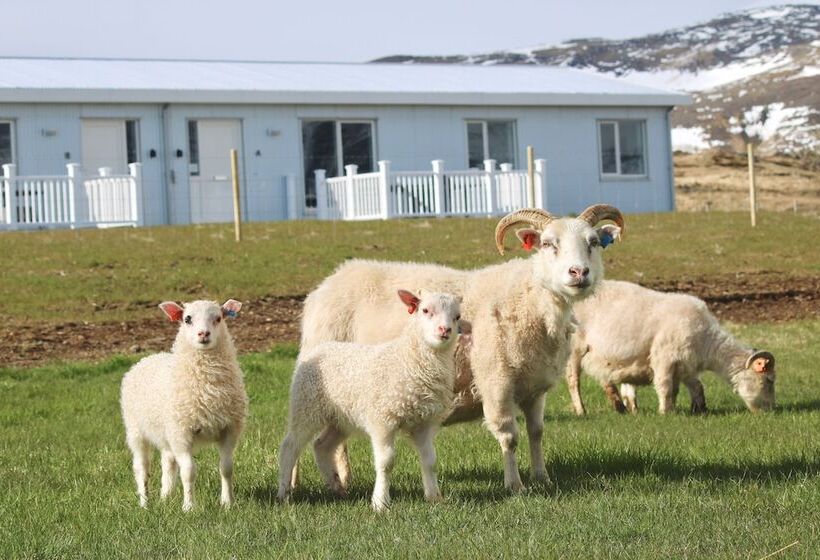 هتل Miðhraun   Lava Resort