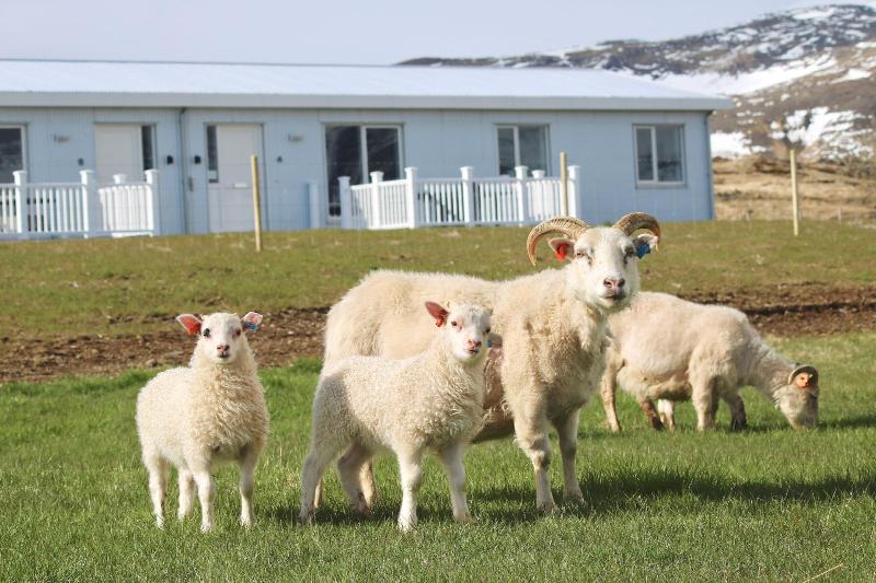 هتل Miðhraun   Lava Resort