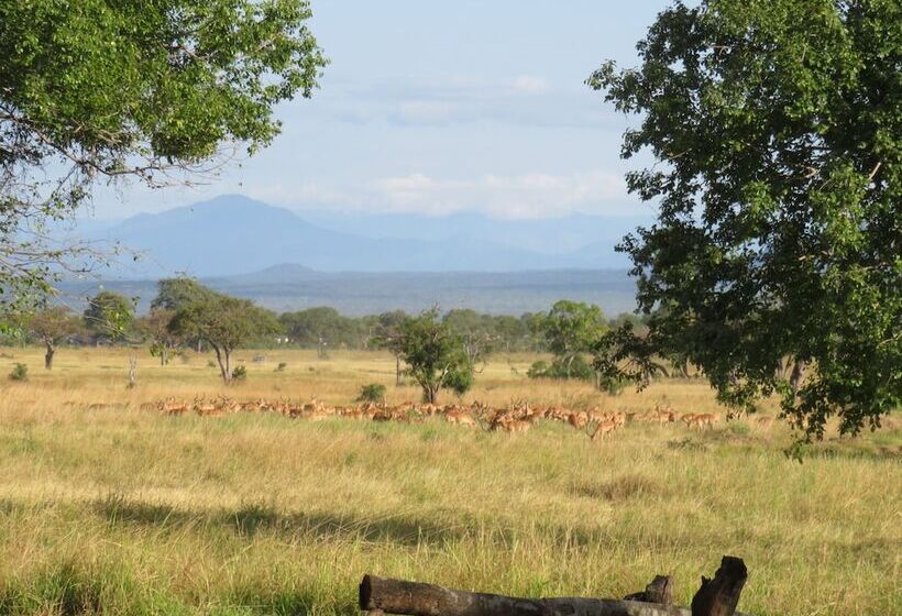 בית מלון כפרי Mikumi Wildlife Camp