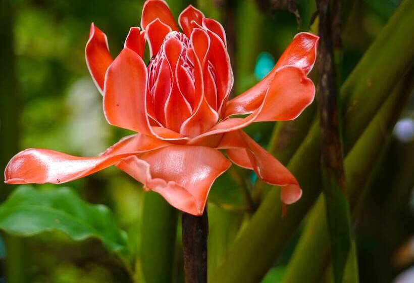 Отель Mitu Wasi Ecolodge