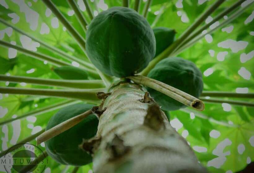 Отель Mitu Wasi Ecolodge