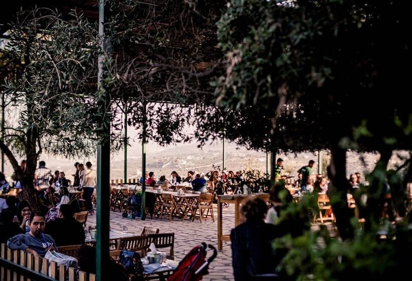 هتل Mountain Breeze Resort