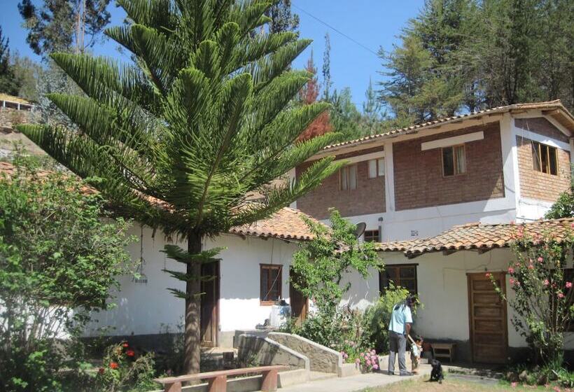 هتل Normandie Tarma