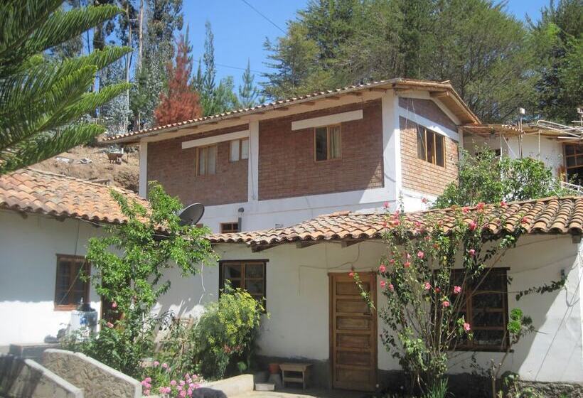 هتل Normandie Tarma