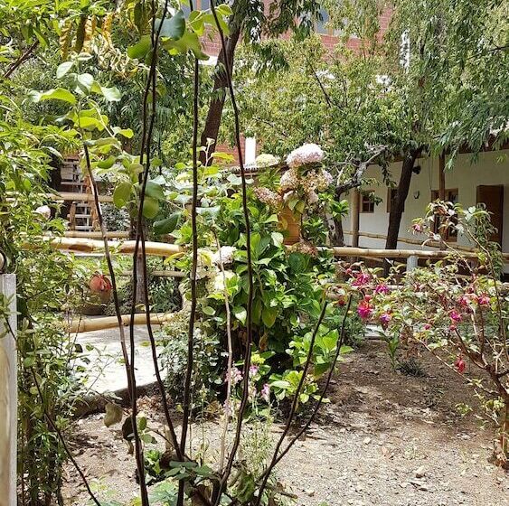 هتل Normandie Tarma