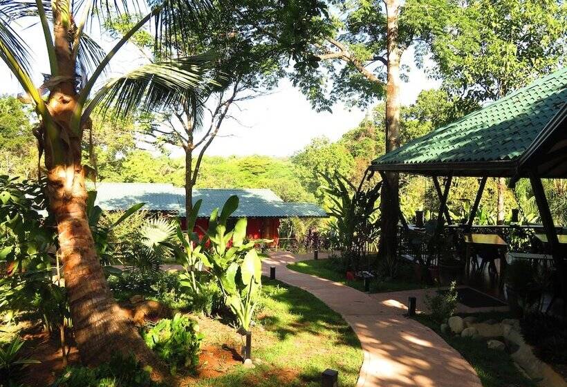 Отель Oasis De Las Palmas