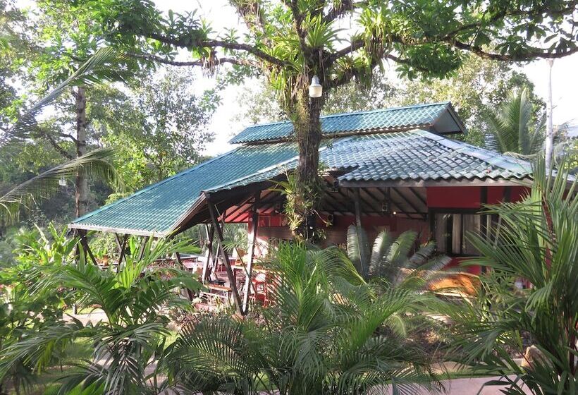 Отель Oasis De Las Palmas