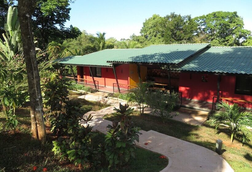 Отель Oasis De Las Palmas