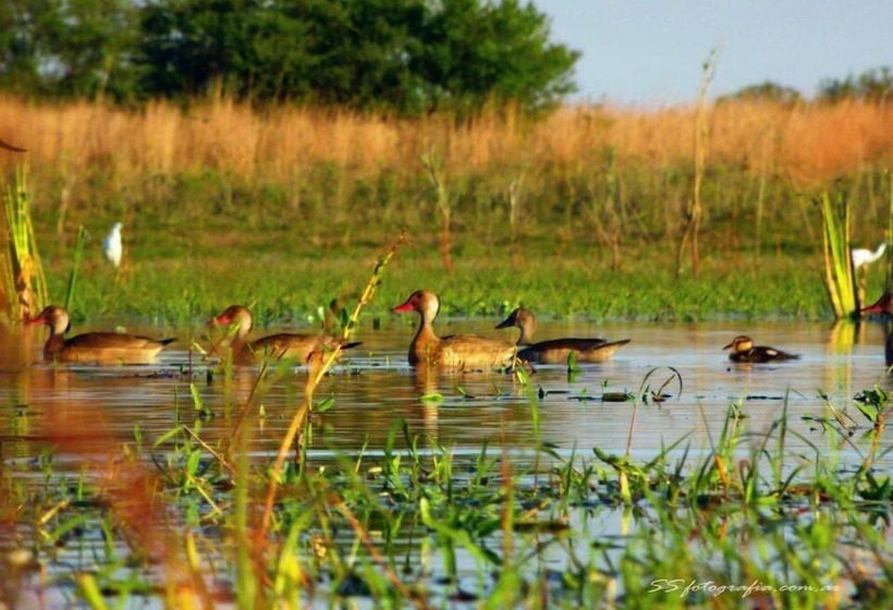 Отель Posada Del Muelle