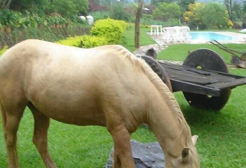 호텔 Pousada Padre Toledo